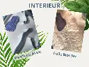 INTERIEUR NIDS.webp