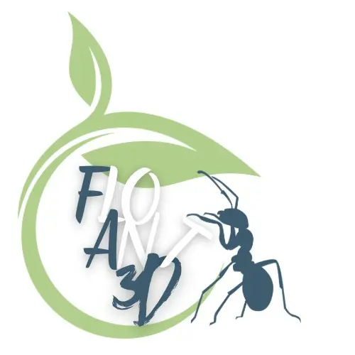 Flo Ant 3D